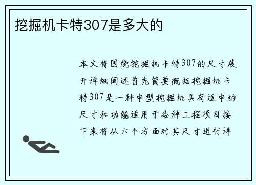 挖掘机卡特307是多大的